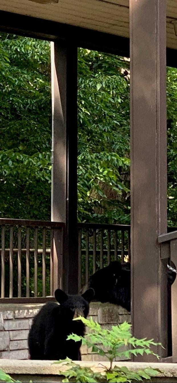 Brookside Lodge Gatlinburg Exterior foto